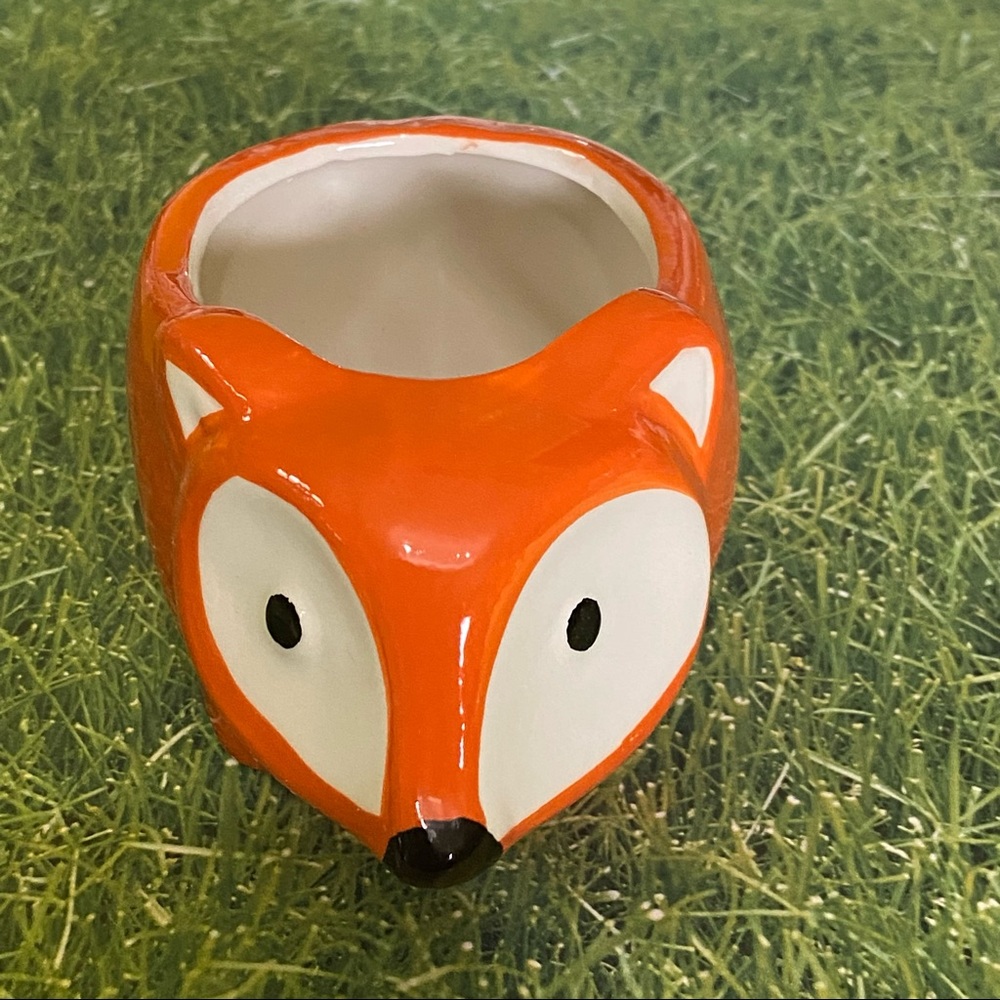 FOX Ceramic Planter With DRAINAGE HOLE - Picture 7 of 8